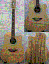 acoustic guitar dg-341 cn hinh 1